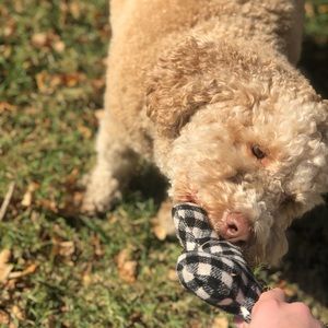 Meet your Posher, Kenzie